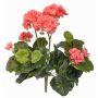 Umělá květina pelargonie MIA na zápichu, růžová, 35cm, Ø6-9cm