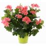 Umělá květina pelargonie MIA na zápichu, růžová, 40cm, Ø5-8cm