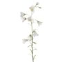 Umělá rostlina zvonek GISELA, bílá, 65cm, Ø1-4cm