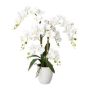 Umělá orchidej Phalaenopsis LUKREN v keramické nádobě, kořeny, bílá, 65cm