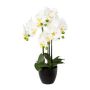 Umělá orchidej Phalaenopsis UKERNA v květináči z pryskyřice, bílá, 55cm