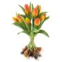 Umělá kytice tulipánů LONA s cibulkami, oranžovo-žlutá, 35cm, Ø25cm