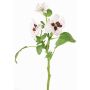 Dekorativní větvička macešky SIANIE, bílo-burgundská, 35cm, Ø5-6,5cm