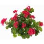 Umělá květina pelargonie MIA na tyči, fuchsiová, 40cm, Ø5-8cm