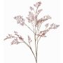 Větvička Asparagus plumosus RABETA, hnědorůžová, 100cm
