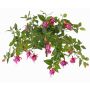 Umělá fuchsie KROUSIA, fuchsiovo-fialová, 30cm, Ø5cm