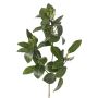 Umělá větev mangrovníku USTERA, pupeny, nehořlavé, zelená, 60cm