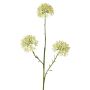 Dekorativní větvička Allium ALIKIO, bílá, 65cm, Ø7cm