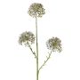 Dekorativní větvička Allium ALIKIO, modrá, 65cm, Ø7cm