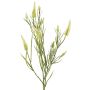Dekorativní větvička EUTIN jetel s květy, bílo-zelená, 80cm