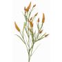 Dekorativní větev jetele EUTIN s květy, oranžovo-zelená, 80cm, Ø1,5-2cm