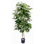 Umělá Schefflera GÜSSING, přírodní stonky, zelená, 120cm