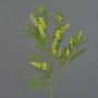 Umělá větev mimózy BRANAU s květy, žlutá, 75cm