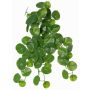 Umělá Stephania erecta ANOGIA na tyči, zelená, 50cm