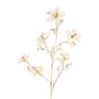 Sametová větvička bauhinie GAZERA, krémově zlatá, 115cm