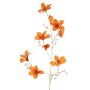 Sametová větvička bauhinie GAZERA, oranžovo-zlatá, 115cm