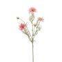 Dekorativní větvička černého kmínu JENNIE, růžová, 70cm