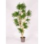 Umělý stromek Abelia DIMYTRO s přírodními kmeny, křížový, zelený, 185cm - Vyrobeno v Itálii