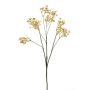 Umělá gypsophila LITAGO, suchý vzhled, béžová, 70cm, Ø1,5cm
