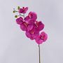 Dekorativní větvička orchideje phalaenopsis RICKY, růžová, fuchsiový, 95cm, Ø7-11cm