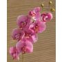 Dekorativní větvička orchideje phalaenopsis RICKY, růžová, 105cm