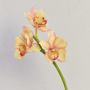 Umělá větvička orchideje cymbidium SERAPHINA, žluto-růžová, 45cm