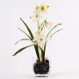 Umělá orchidej dendrobium ZUZA v dekoračním skle, bílo-zelená, 35cm