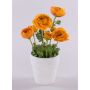 Umělý ranunculus MAYLIN v terakotovém květináči, oranžový, 35cm, Ø3-8cm