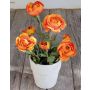 Umělý ranunculus MAYLIN v terakotovém květináči, oranžový, 35cm, Ø3-8cm