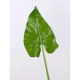 Umělecká plachta Calla FRANSCHESKA, zelená, 70cm