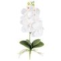 Dekorativní květina orchidej Phalaenopsis DRINTOR, tyč, kořeny, bílá, 40cm