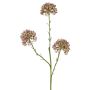Dekorativní větvička Allium ALIKIO, lila, 65cm, Ø7cm