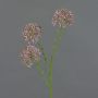 Dekorativní větvička Allium ALIKIO, fialová, 65cm, Ø6,5cm