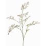 Umělá větev Asparagus plumosus WATTENS, fialovo-zelená, lila-zelená, 100cm