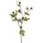 Dekorativní fíková větev PROWER s plody, zelená, 90cm