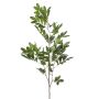 Dekorativní větvička pistácie WEXTOR, zelená, 90cm