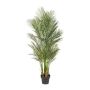 Dekorativní palma Areca URUBE v ozdobném květináči, 160cm