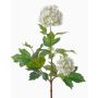 Umělá květina kalina JOTTI, bílá, 40cm, Ø2-8cm