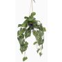 Umělá rostlina Anthurium závěsný koš URCO, dekorativní květináč, zelená, 80cm