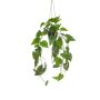 Umělý závěsný koš Philodendron Scandens ZILDA, dekorativní květináč, 80cm