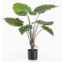 Umělá rostlina Alocasia Calidora FAYOR, zelená, 70cm