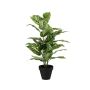 Umělá rostlina Dieffenbachia ELSAWA v dekorativním květináči, zelená, 65 cm