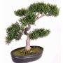 Umělý strom bonsai cedr JARNO, s kořeny, v květinové míse, 40cm