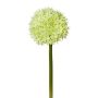 Dekorativní květina Allium WANDENY, krémově zelená, 65cm