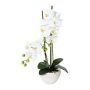 Textilní orchidej Phalaenopsis DINKA v keramické misce, kořeny, bílá, 50cm