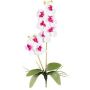 Textilní orchidej Phalaenopsis MORLEK, tyčinka, kořeny, bílo-fialová, 60cm