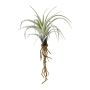 Umělý sukulent Tillandsia stricta SNELDON s kořeny, zelený, 22cm