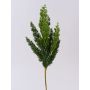 Dekorativní jalovcová větev STURNYN, zelená, 50cm