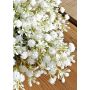 Umělý věnec z gypsophily CECILIA, krémově bílý, Ø35cm