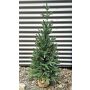 Umělý smrk STORNYN v jutovém pytli, 90cm